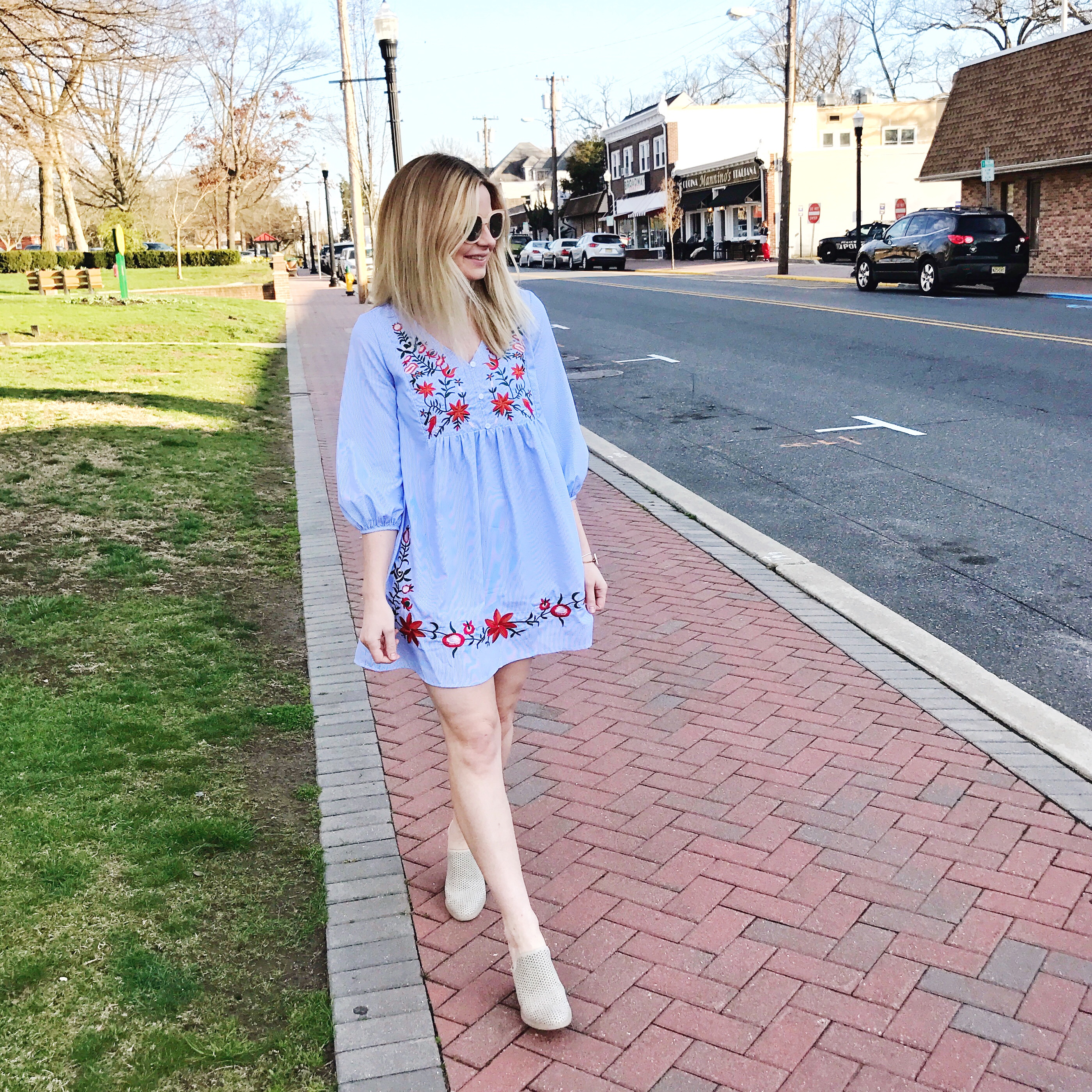 Blue Striped Embroidered Dress